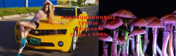 герыч Аркадак