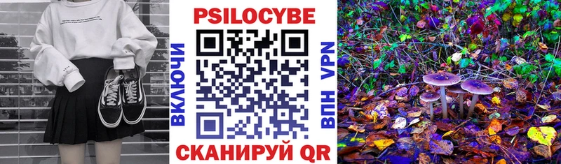 Псилоцибиновые грибы прущие грибы  Купить где  Губаха 